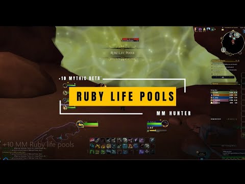 10+ Ruby Life Pools | Marksmanship Hunter | Dragonflight Beta M+