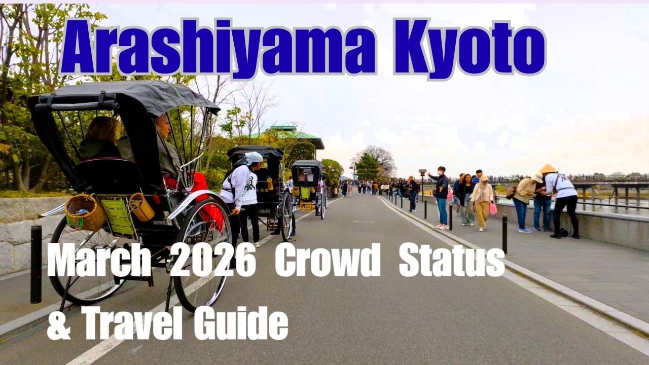 Kyoto Arashiyama Now: How Crowded is it? 🌸 Cycling Tour (March 22, 2026)