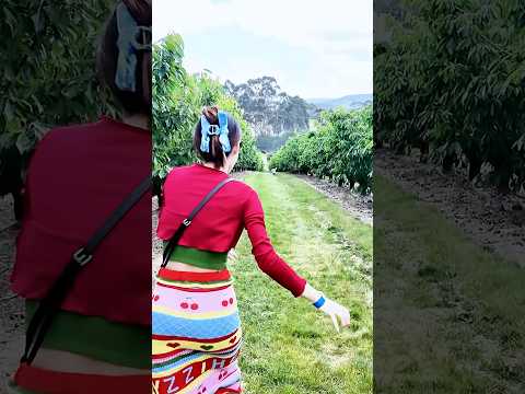 ZINO LẠC GIỮA RỪNG CHERRY 🍒 #zino #veve  #CherryGarden