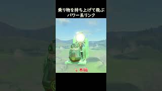 乗り物を持ち上げて飛ぶパワー系リンク 【ゼルダの伝説 ティアーズオブザキングダム】