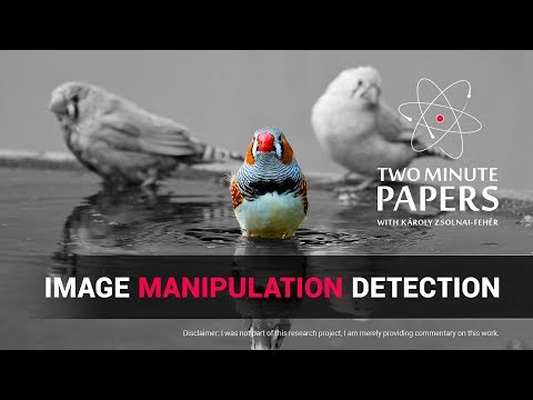 An AI For Image Manipulation Detection | 2MP #261