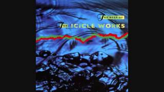 Icicle Works - One Time