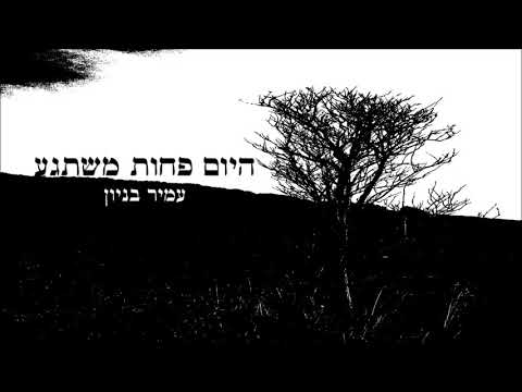 היום פחות משתגע Amir Benayoun