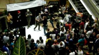 The Fitzpatrick Incident At Markville Mall 4