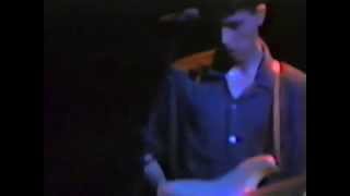 The Feelies - Forces at Work