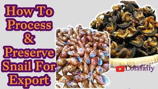 Snail Processing For Export | How To Process Snail For Exportation