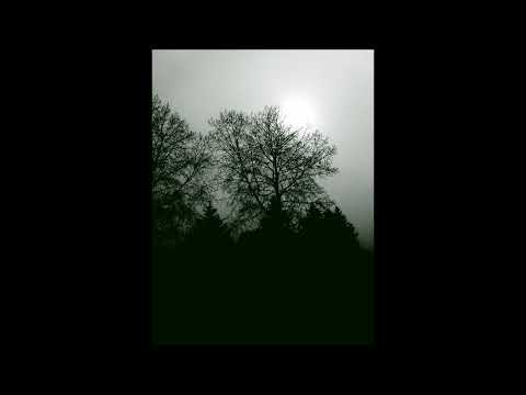 BEAMER MANE - I'M SCOPIN