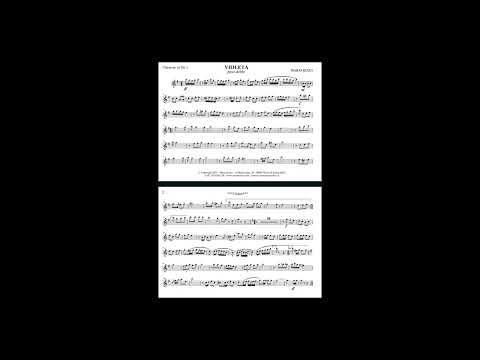 Violeta - Mario Rizzo (Pasodoble)