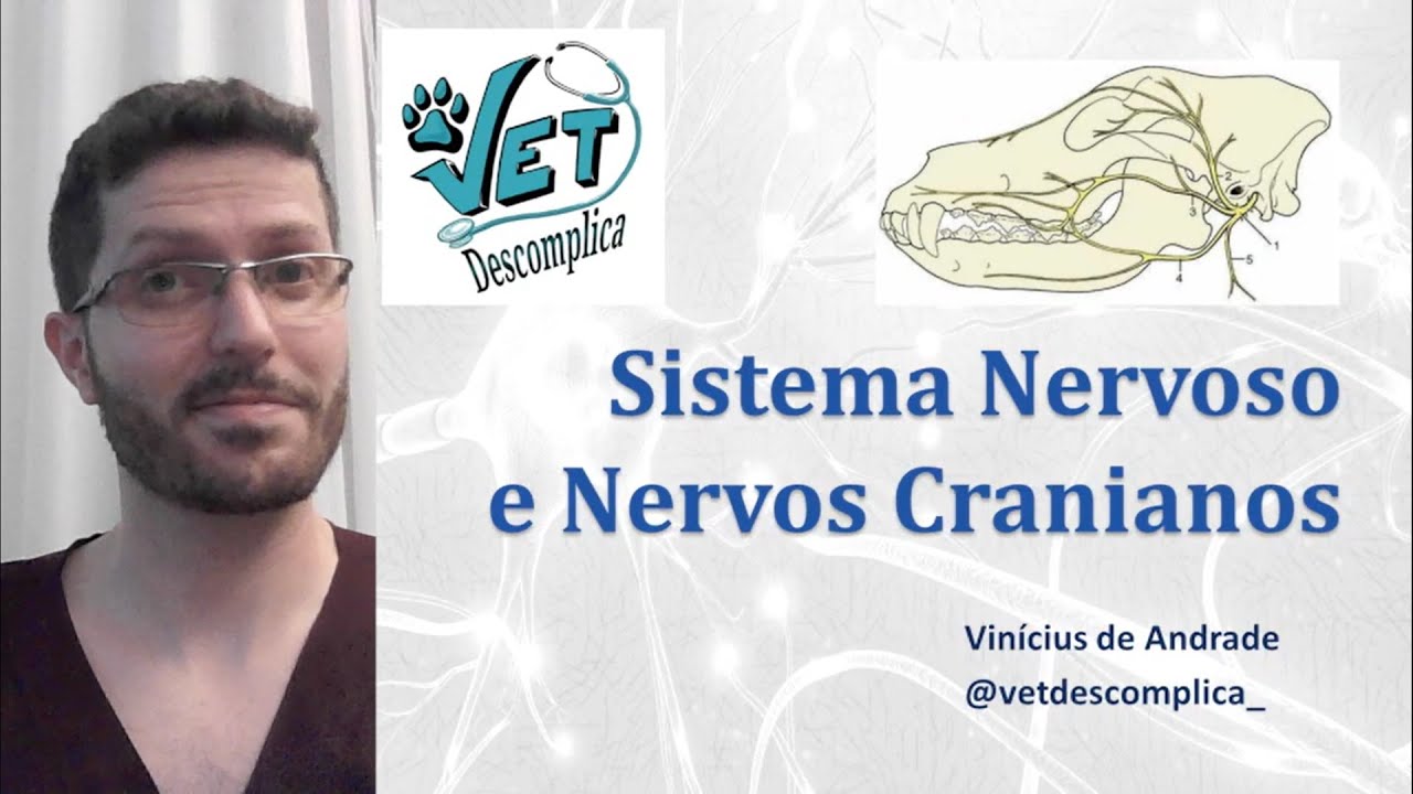 Sistema Nervoso e Nervos Cranianos - Med Vet
