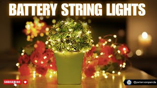 Battery Operated LED String Lights Review