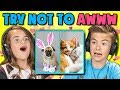 KIDS REACT TO TRY NOT TO AWWW CHALLENGE #2