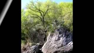 Simply Jessie - Rex Smith