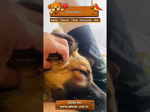 Vídeo de Churrasco
