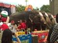 Man Vs Elephant Jul 3 09