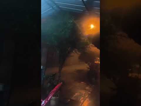 💨⛈️ **EMERGENCIA EN LA VIRGINIA POR FUERTE VENDAVAL**