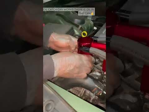 DODGE CHARGER OIL CATCH CAN WORKS#cars #shorts_ #dodge#charger #oilcatchcan#dyi