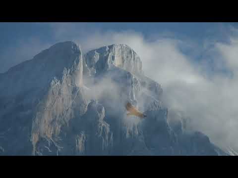 Guillaume Poncelet - Le bruit du vent (Music Video)