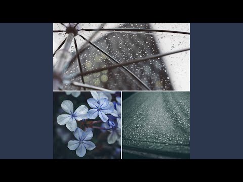 Grand Moods for Rainy Evening