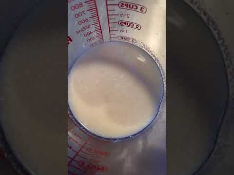 How to make a clarified milk punch. A cocktail you can’t taste the alcohol in at all #bartender