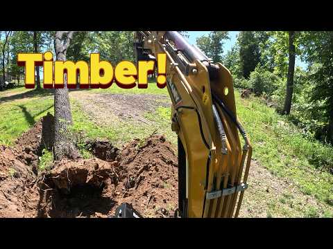 Removing Dangerous Tree | SANY SY26U
