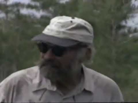 Walker's Cay Chronicles - FLIP SOLO - The Everglades 1998