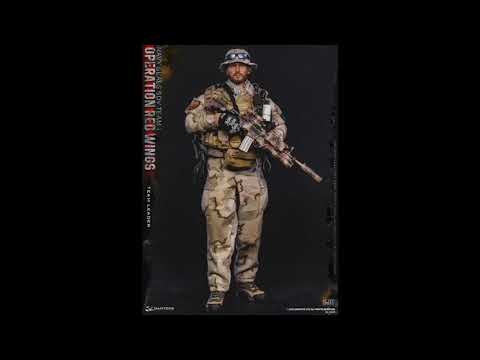 DAMTOYS DAM 1/6 78069 レッドウイング　ミリタリーフィギュア　Miritaly Figure
