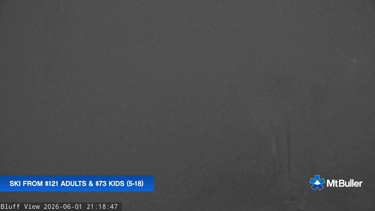 Mt Buller Live 2
