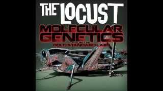 An Extra Peace Of Dead Meat [REMASTERED] (HQ) (with lyrics) - The Locust