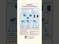 Network Infrastructure Project VLAN HSRP Core Access Switch CCNA CCNP Lab Setup Tutorial