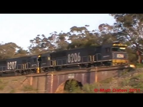 8206, 8207, DL38, DL46 Coalie, Yerrinbool