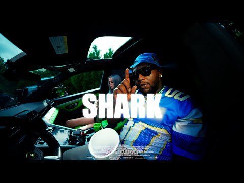 [FREE] Rio Da Yung Og x Flint x Detroit Sample Type Beat - "Shark"