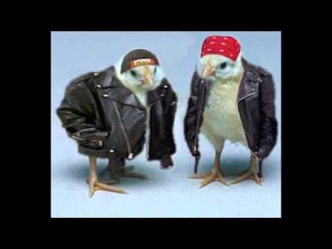 Shawn Lee's Ping Pong Orchestra - Biker Chick