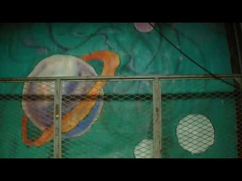 Vintage Haughton Freight Elevator - The Bon-Ton Eastern Hills Mall - Williamsville, NY