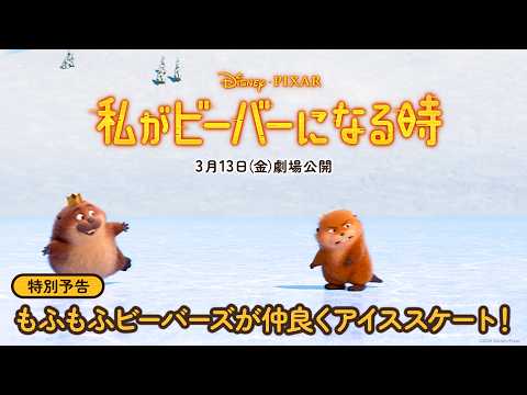 特別予告｜もふもふビーバーズが仲良くアイススケート！