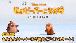 特別予告｜もふもふビーバーズが仲良くアイススケート！