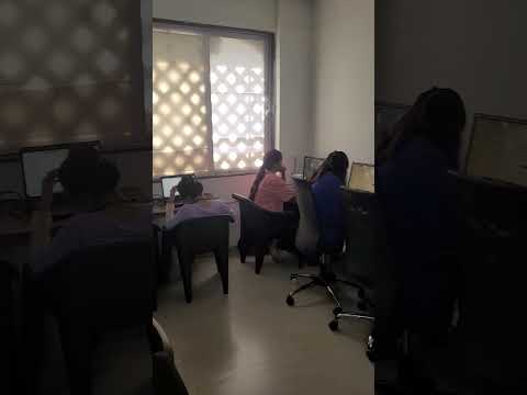 Working at Codizious — Inside Codizious Technologies