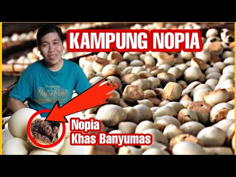 Wisata Kampung Mino
