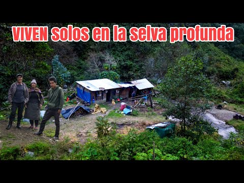 This family decided to LIVE ALONE in the depths of the jungle, FAR from CIVILIZATION