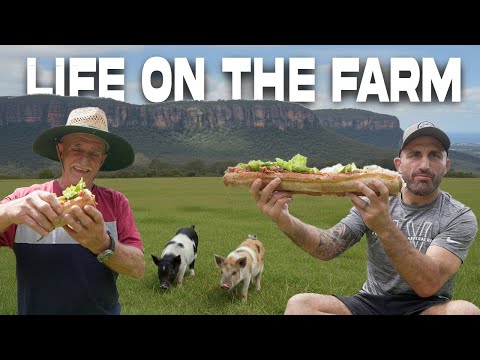 Das Leben auf dem Bauernhof... Wir haben Schweine + ein 60 cm langes Sandwich