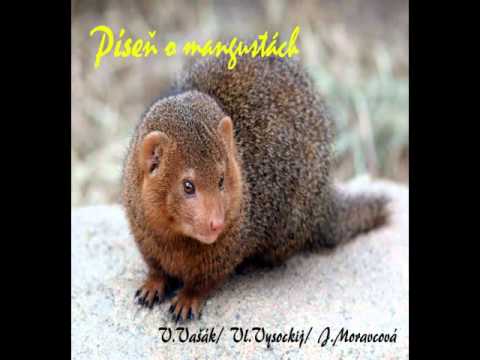 Vašek Vašák - Píseň o mangustách