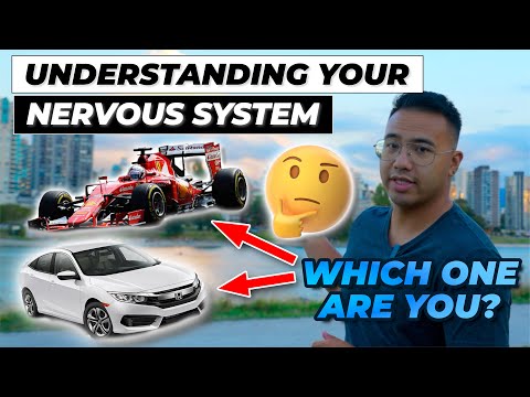 Watch on YouTube: Why Your Body Is Hypersensitive To Everything