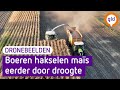 Bekijk hier het maïs hakselen in Borculo vanuit de lucht