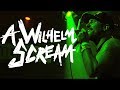 A Wilhelm Scream | The Soft Sell | Pouzza Fest 8