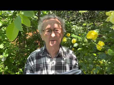 Ivan Hričovský: PREČO NAŠEJ DULE OPADÁVAJÚ PLODY?