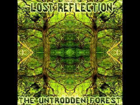 Lost Reflection -- Reveal Traces