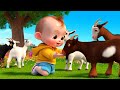 Rain Rain Go Away More Nursery Rhymes Kids Songs Cartoons Nick