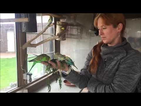 2017 09 26 Besucher aus Großefehn