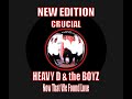 NEW EDITION, CRUCIAL - HEAVY D & the BOYZ - REMIX