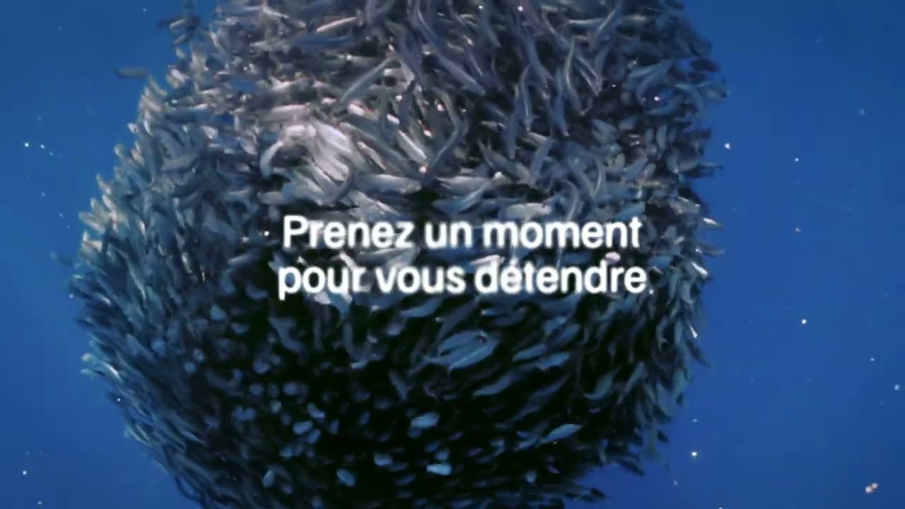 La pêche durable c’est plus de poissons 🐟