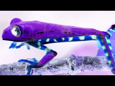 RVDS - Cosmic Diversity (Official Music Video)